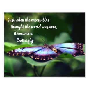 New Beginnings Butterfly Inspirational Quote 8x10 Photo Print