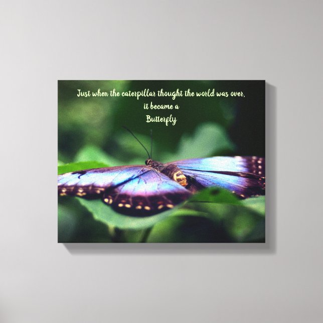 New Beginnings Butterfly Inspirational Quote Canvas Print (Front)