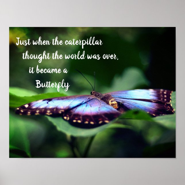 New Beginnings Butterfly Inspirational Quote Poster (Front)