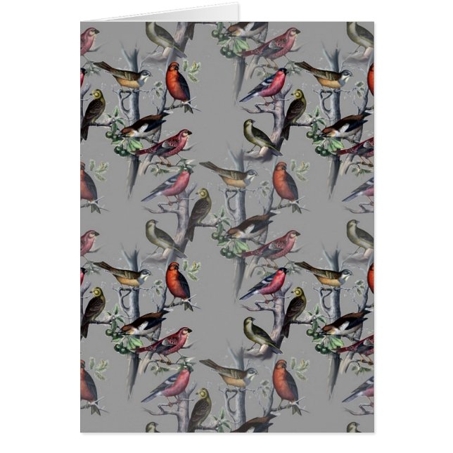 New Birds pattern accessories, vintage art grey (Front)