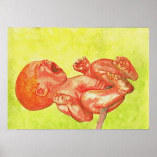 New Born Baby Wailer Poster