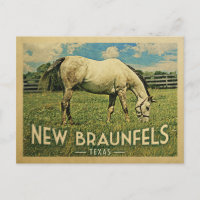 New Braunfels Texas Horse Farm - Vintage Travel