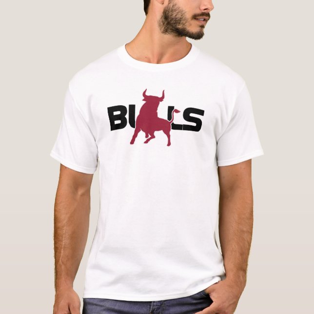 New! Bridgeport Bulls Tee (Front)