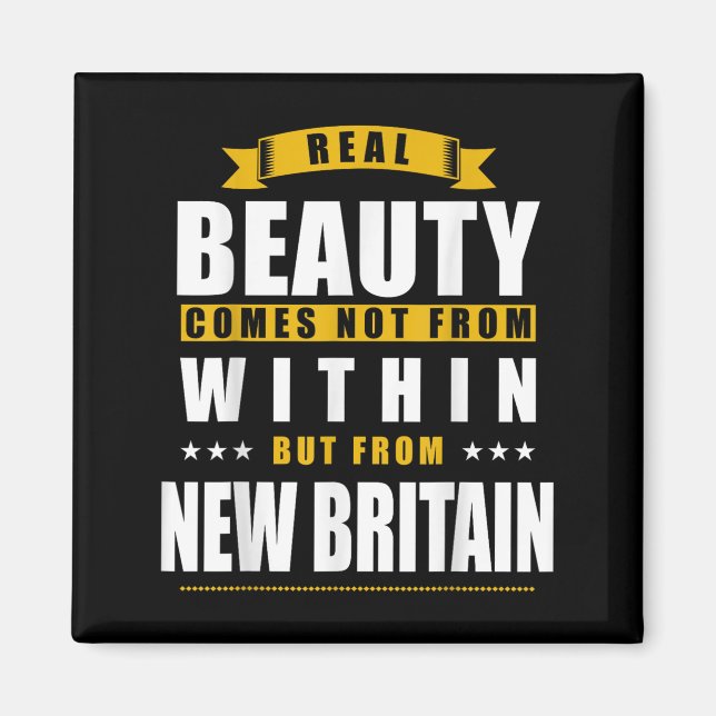 New Britain - Funny D City Gift  Magnet (Front)