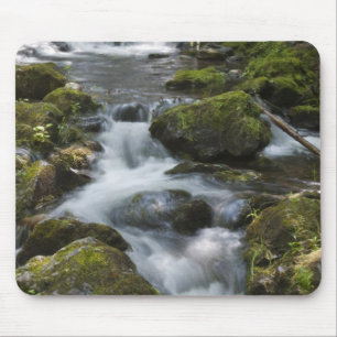 New Brunswick, Canada. Dickson Falls in Fundy Mouse Mat