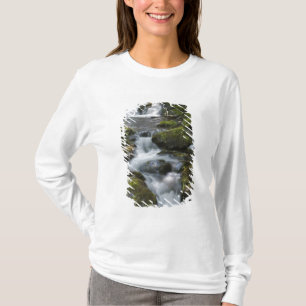 New Brunswick, Canada. Dickson Falls in Fundy T-Shirt