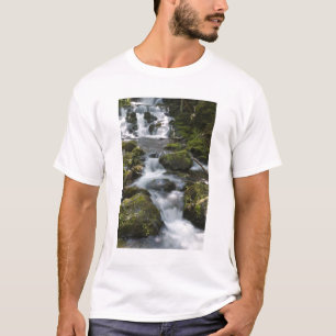 New Brunswick, Canada. Dickson Falls in Fundy T-Shirt