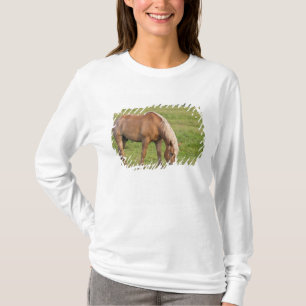 New Brunswick, Canada. Horse in field. T-Shirt