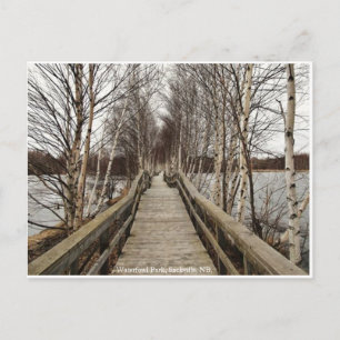 New Brunswick, Canada Postcard