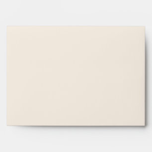 New Chapter Script Bridal Shower Return Address Envelope