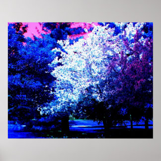 New Colors of Spring Poster