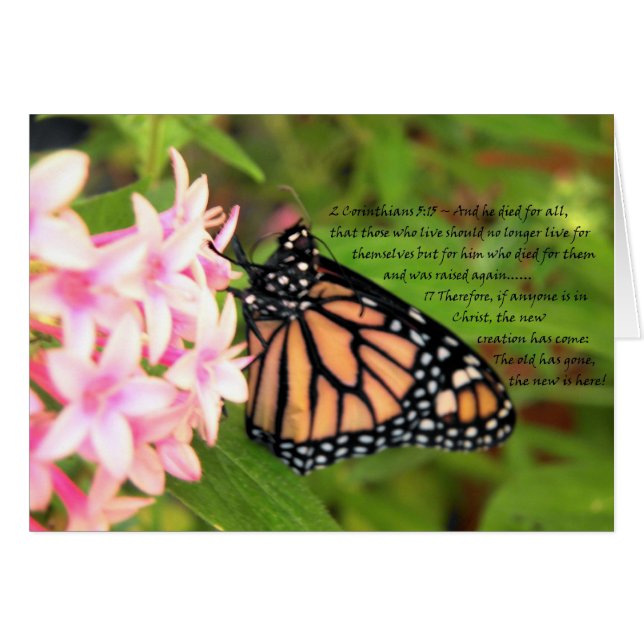 New Creation Christian Butterfly Card (Front Horizontal)