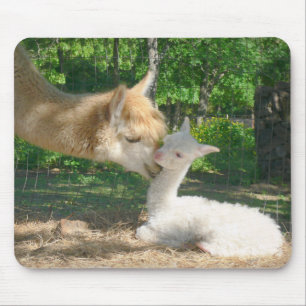 New Cria Mousepad