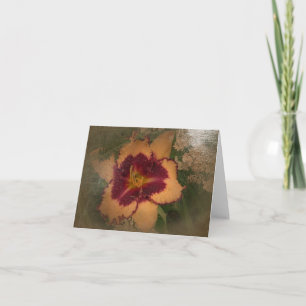 New Day Gardens Note Cards- Daylily 'Sabine Baur' Card