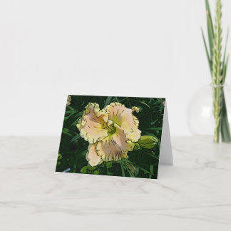 New Day Gardens Notecard Daylily 'Almost An Angel'