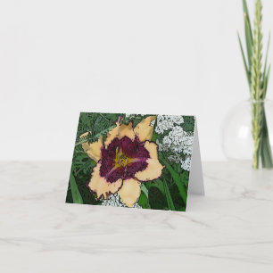 New Day Gardens Notecard Daylily 'Sabine Baur' W