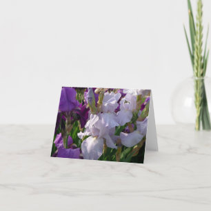 New Day Gardens Notecard-Iris 'Eelanor's Pride' Card