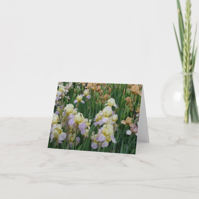 New Day Gardens Notecard- Iris 'Enriched' Card (Front)