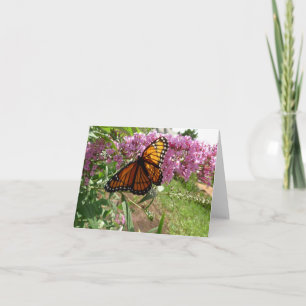 New Day Gardens Notecard- Viceroy Butterfly Card