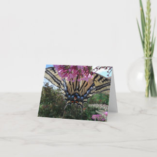 New Day Gardens Notecard- Western Swallotail Under Card