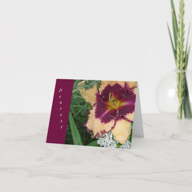 New Day Gardens Valentine- More Than Daylilies Holiday Card (Front)