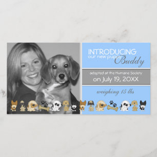 New Dog Adoption Announcement