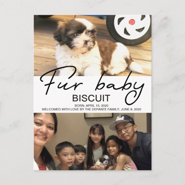 New Dog Fur Baby Announcement Postcard (Front)