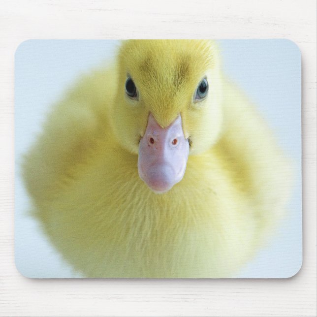 New Duckling Mouse Mat (Front)