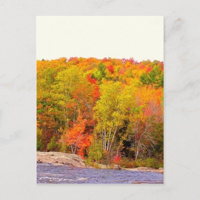 New England Autumn 118 Postcard (Front)