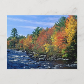 New England Colours Postcard