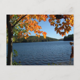 New England Fall Lake Postcards