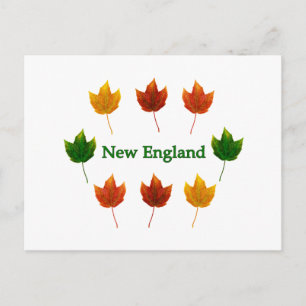 New England Fall Leaves Postcard
