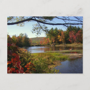 New England Fall Pond Postcards