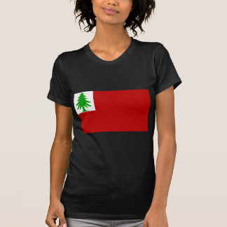 New England Flag T-Shirt