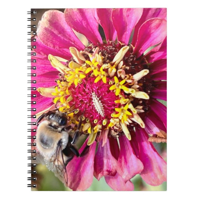 New England Flower Photo Notebook (Front)
