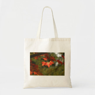 New England Maple fall foliage tote bag