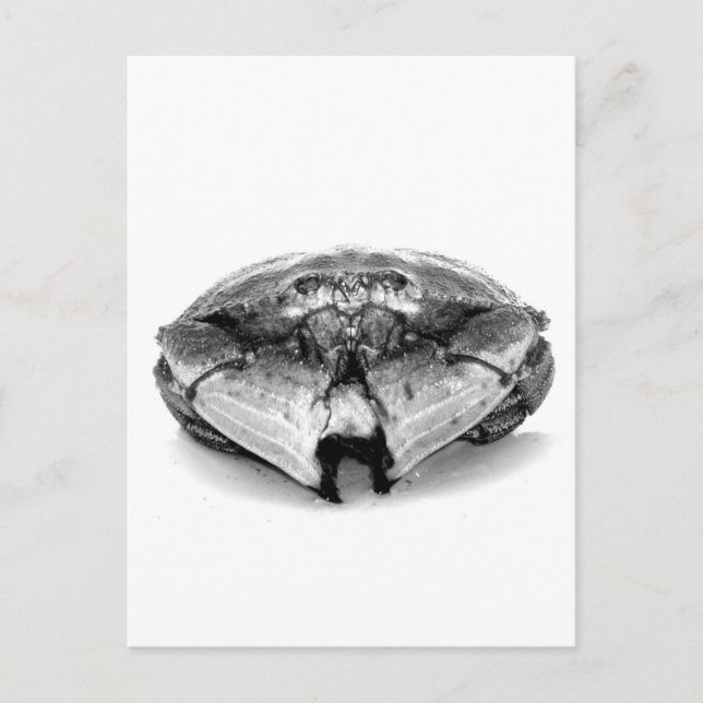 New England Rock Crab I Postcard (Front)