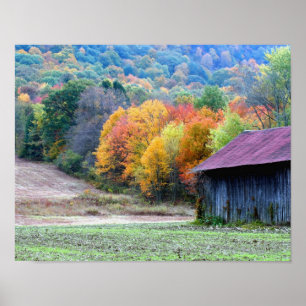 New England Tobacco Barn Autumn Foliage Nature Poster