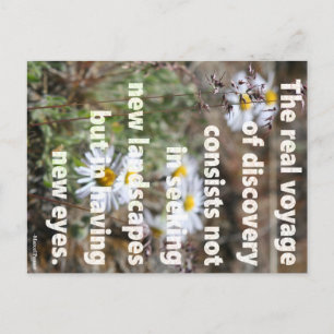 New Eyes Postcard