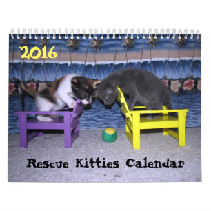 *****NEW for 2016!!! ***** Rescue Kitties Calendar