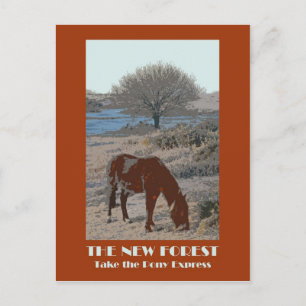 New Forest 1920s-style retro postcard