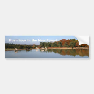 New Forest bumper sticker