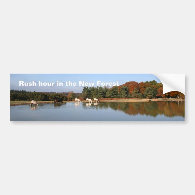 New Forest bumper sticker (Front)