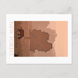 New Forest cartoon-style Postcard