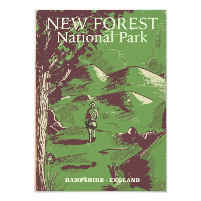 New Forest, Hampshire, England Photo Print (Front)