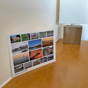 New Forest multi-image 2 Postcard