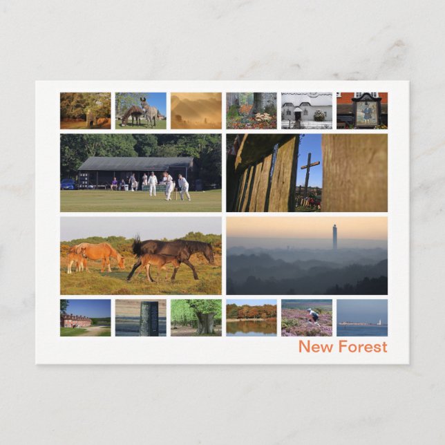 New Forest multi-image Postcard (Front)