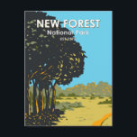 New Forest National Park England Vintage Postcard<br><div class="desc">New Forest National Park vector artwork design. The region is known for its heathland,  forest trails and native ponies. Following the Norman Conquest,  the New Forest was proclaimed a royal forest,  in about 1079,  by William the Conqueror.</div>