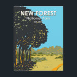 New Forest National Park England Vintage Postcard<br><div class="desc">New Forest National Park vector artwork design. The region is known for its heathland,  forest trails and native ponies. Following the Norman Conquest,  the New Forest was proclaimed a royal forest,  in about 1079,  by William the Conqueror.</div>
