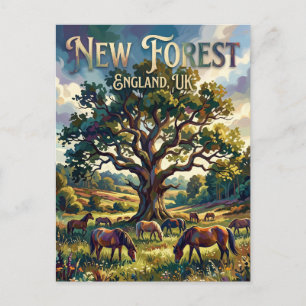 New Forest National Park UK Postcard